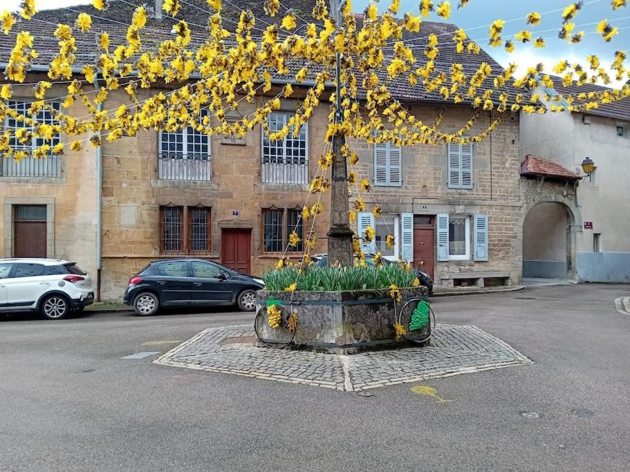 Appartement 2 Pieces Le Louveteau Arbois Esterno foto
